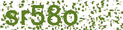 Mã bảo vệ